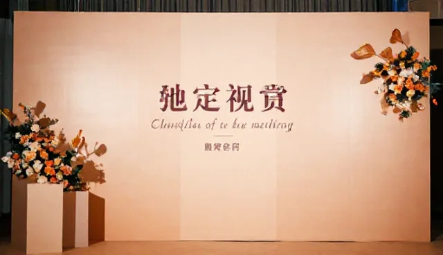 新媒体运营中视觉表现选型关注点与适用限制
